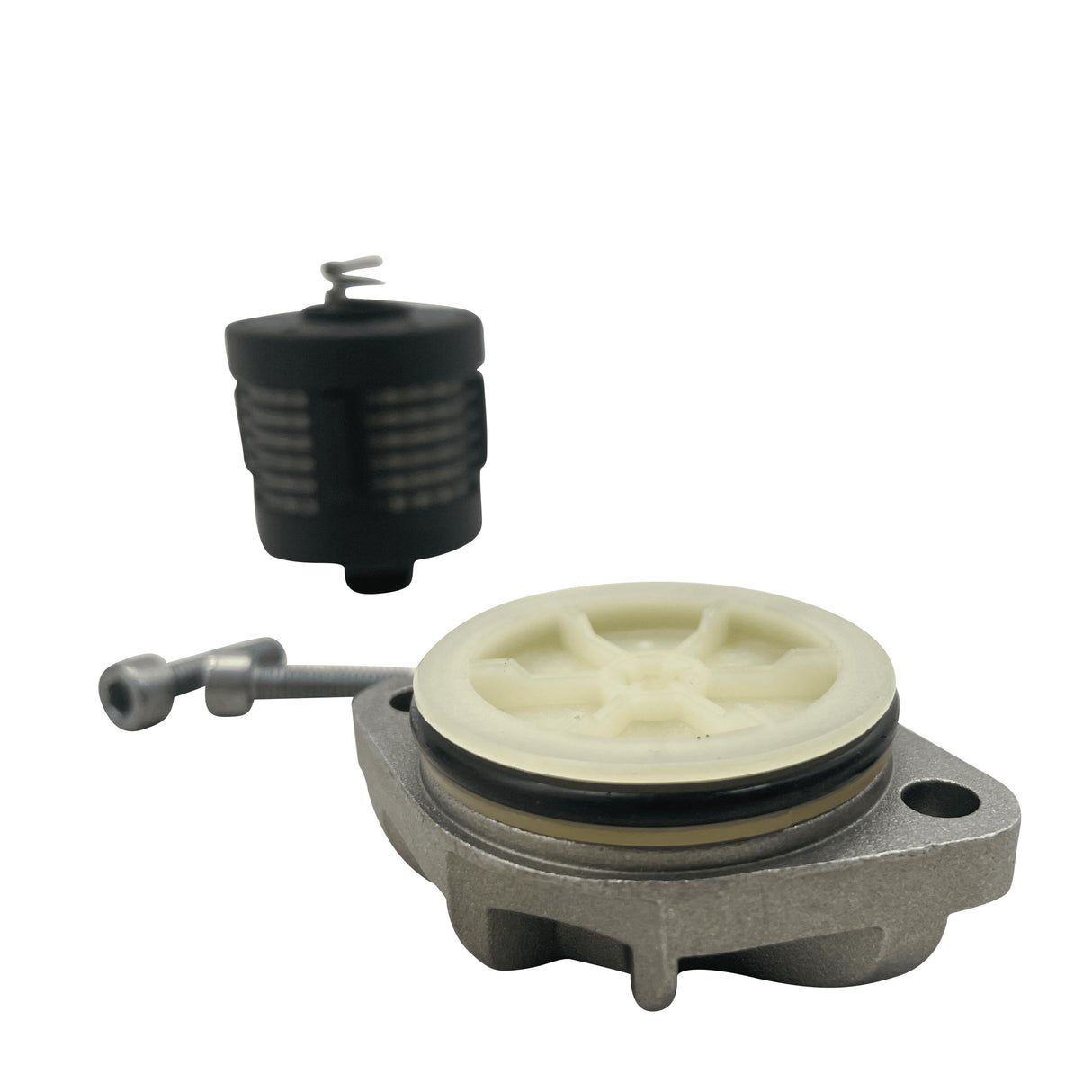 Ford Kuga 2.0 Haldex Pump Gen 2 & 3 Rear Differential With Filter Kit  8V41-4C019-AA / 30783079 / DS118611 Eco Torque