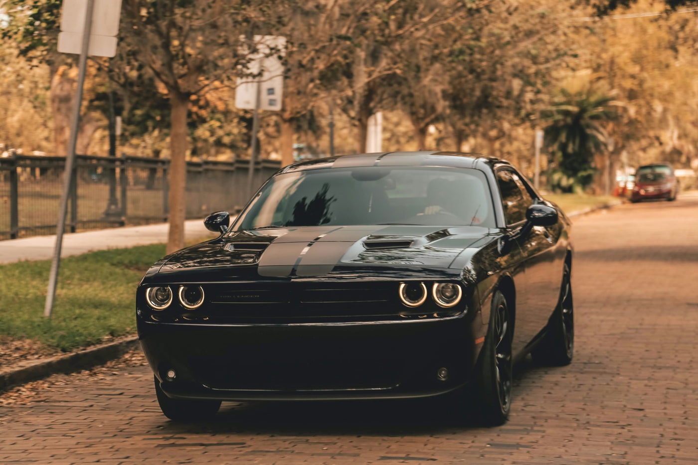 Dodge