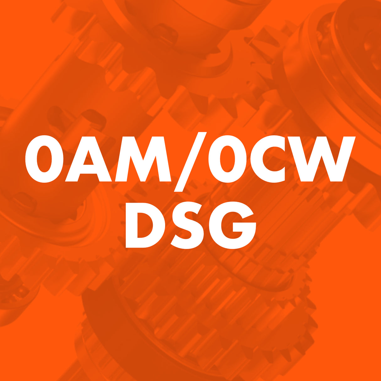 0AM/0CW DSG Catalogue