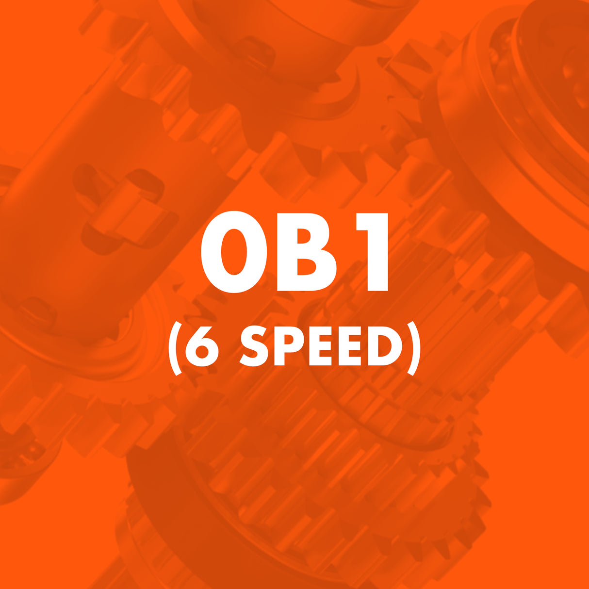 0B1 (6 Speed) Catalogue