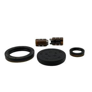 DSG 7 Speed Reverse Selector Fork Slider Bearing Repair Kit 0AM DQ200 Inc Input Shaft Seals & End Cap Eco Torque