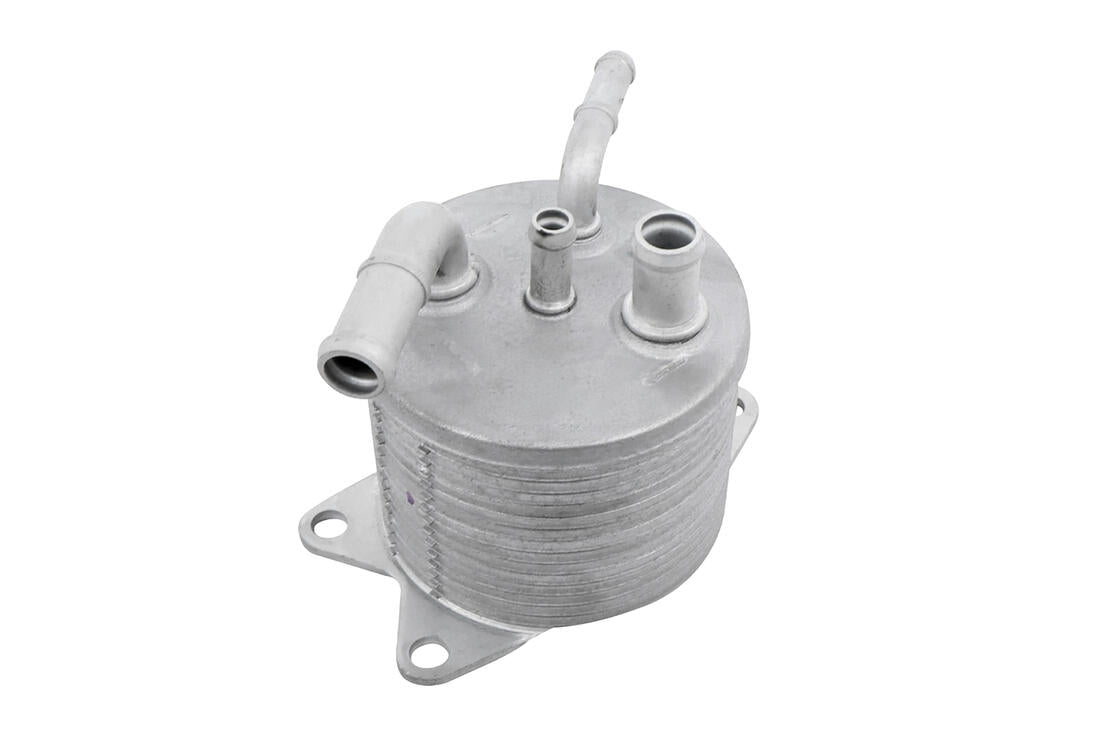 ACKOJA A63-60-0001 Oil Cooler, automatic transmission - Eco Torque