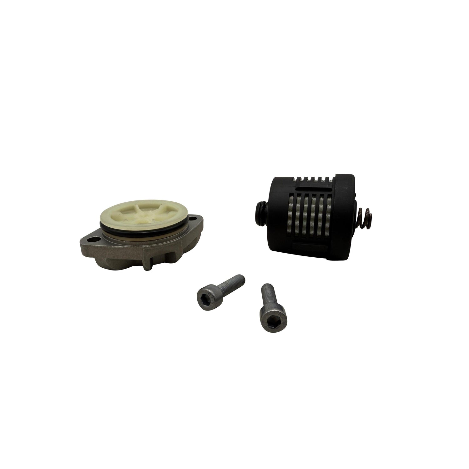 ET3198-ST Gen 3 Haldex filter contents