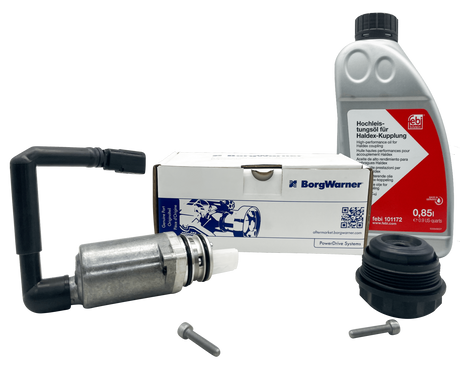 Haldex Generation 1 Pump With Febi Bilstein Oil and Filter Kit For VW 02D525557 / 02D525558A Eco Torque