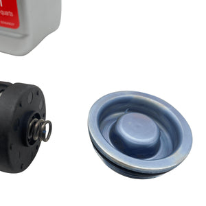 Haldex Pump Gen 2 AWD With Haldex Oil & Filter 02W598549A Eco Torque