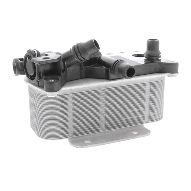 VEMO V20-60-0059 Oil Cooler, engine oil - Eco Torque