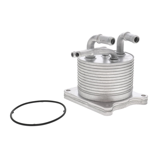 VEMO V33-60-0012 Oil Cooler, automatic transmission - Eco Torque
