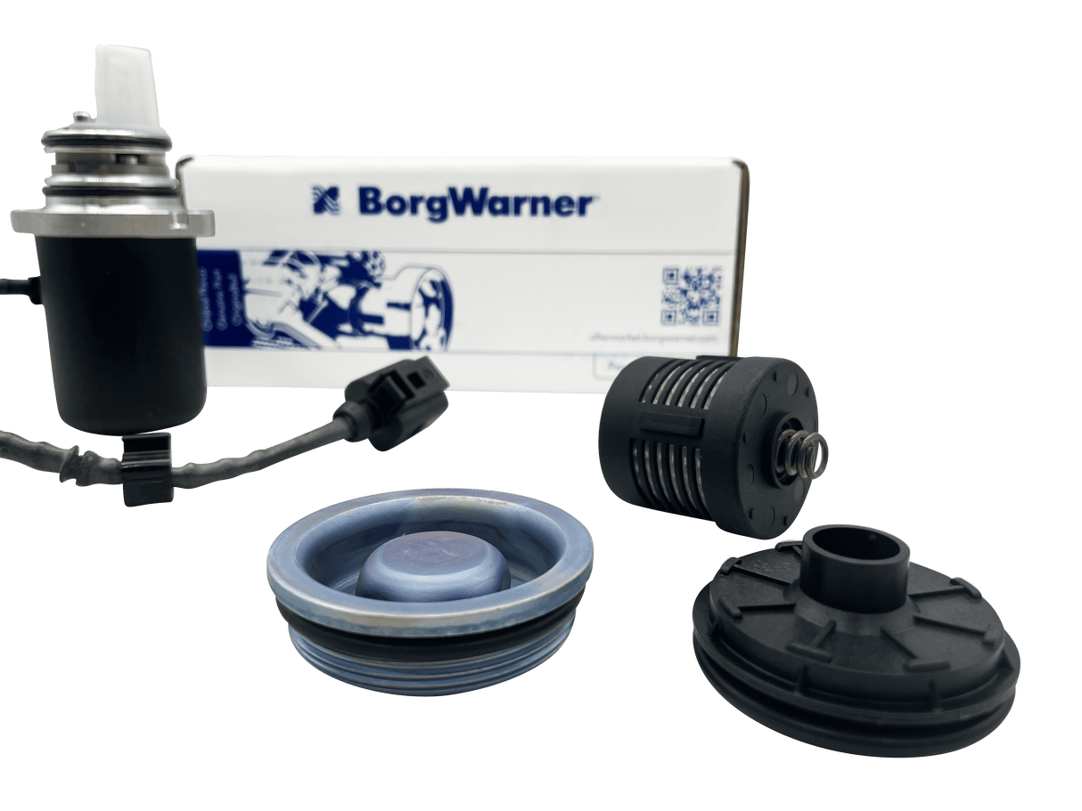 VW Multivan Haldex Pump Gen 2 Rear Differential With Filter Kit 02W598549A / DS118622 Eco Torque