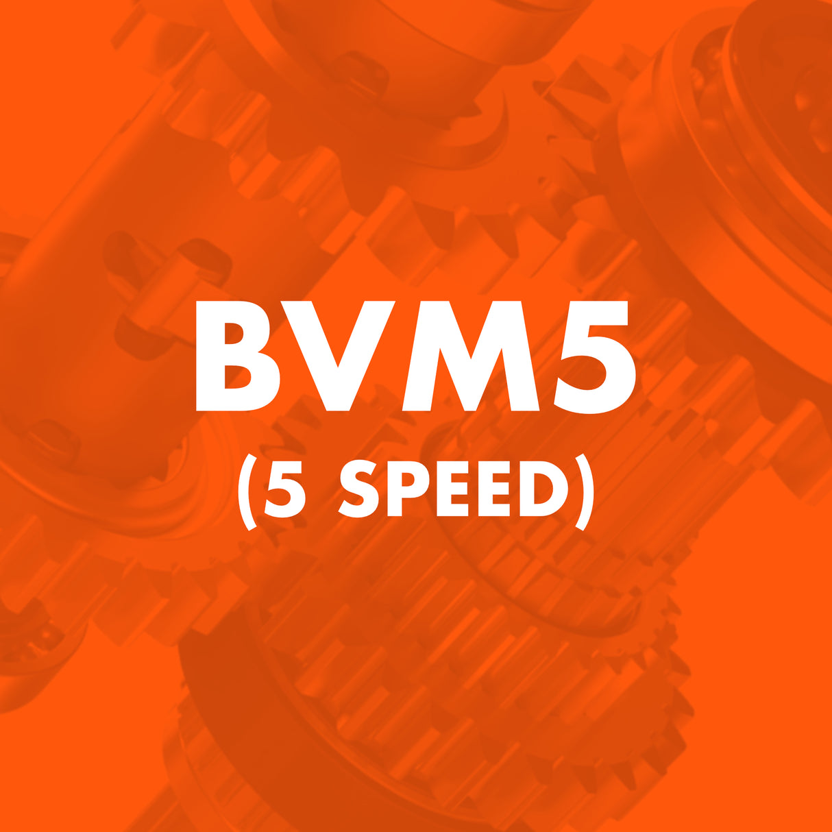 BVM5 (5 Speed) Catalogue